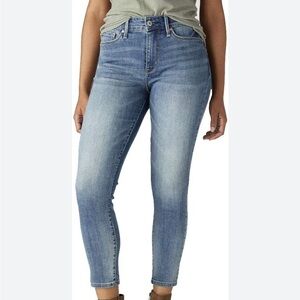 Levi’s Denizen High Rise Skinny Jeans Size 27x30